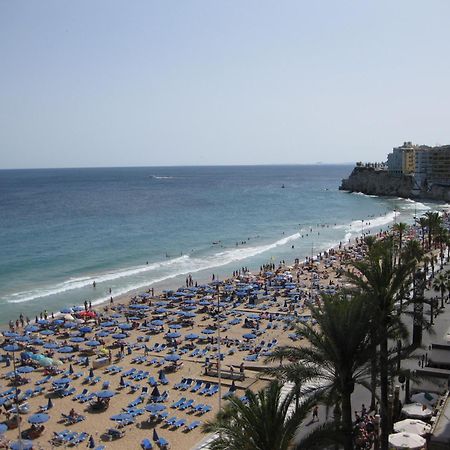 Mediterraneo Benidorm Dış mekan fotoğraf