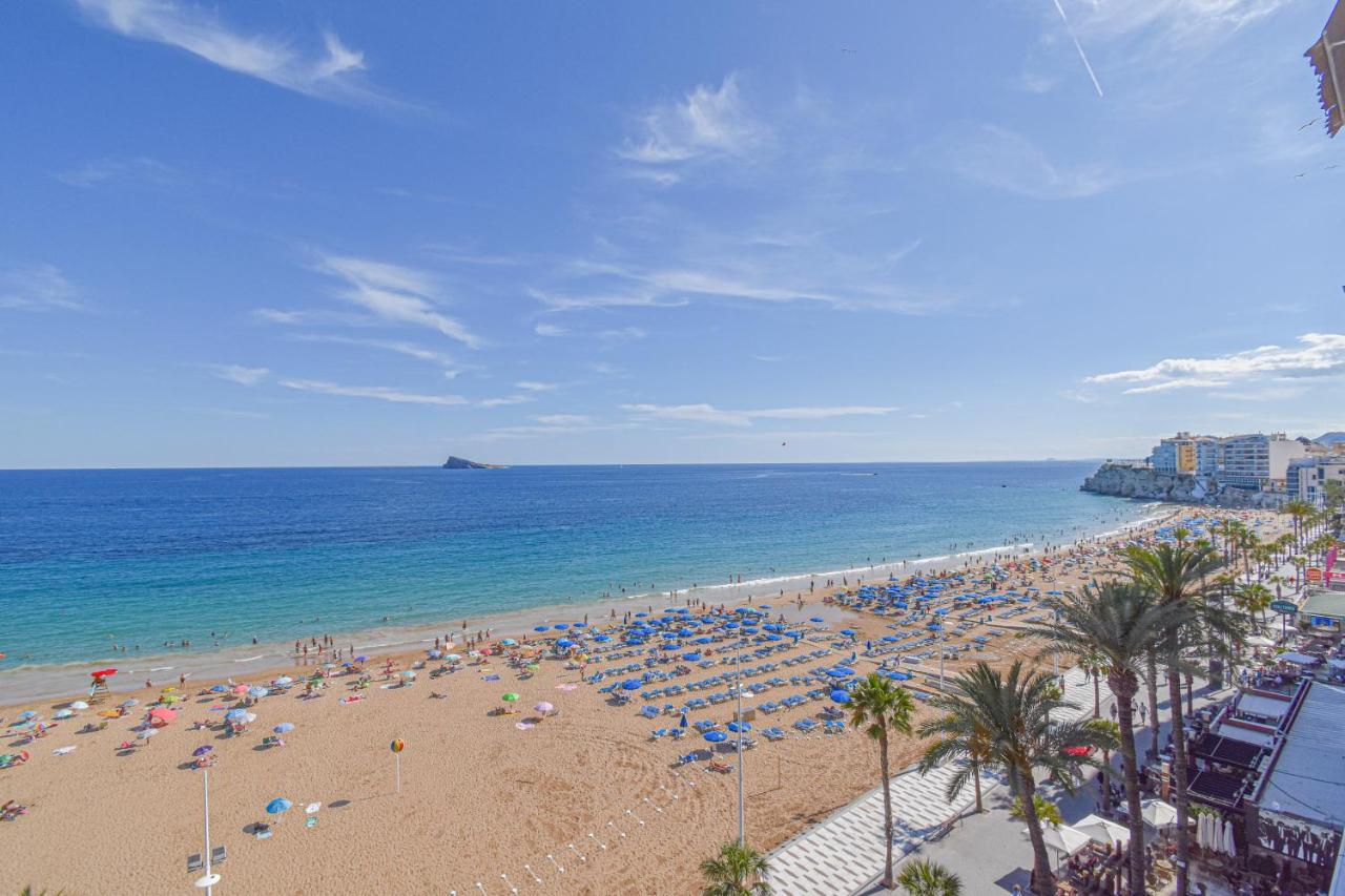 Mediterraneo Benidorm Dış mekan fotoğraf